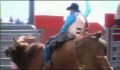 dr dolittle 3-avi_1000_204.jpg